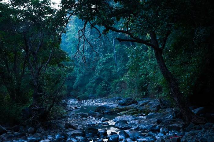 Melghat Tiger Reserve, Maharashtra